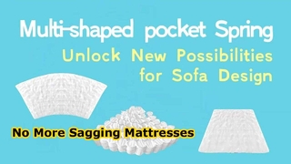 ที่นอนโรงแรม Pocket Spring Anti Sag